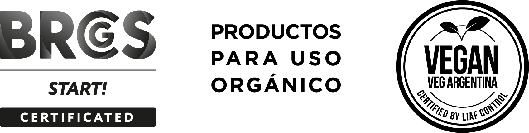 Recurso 1@2x-8